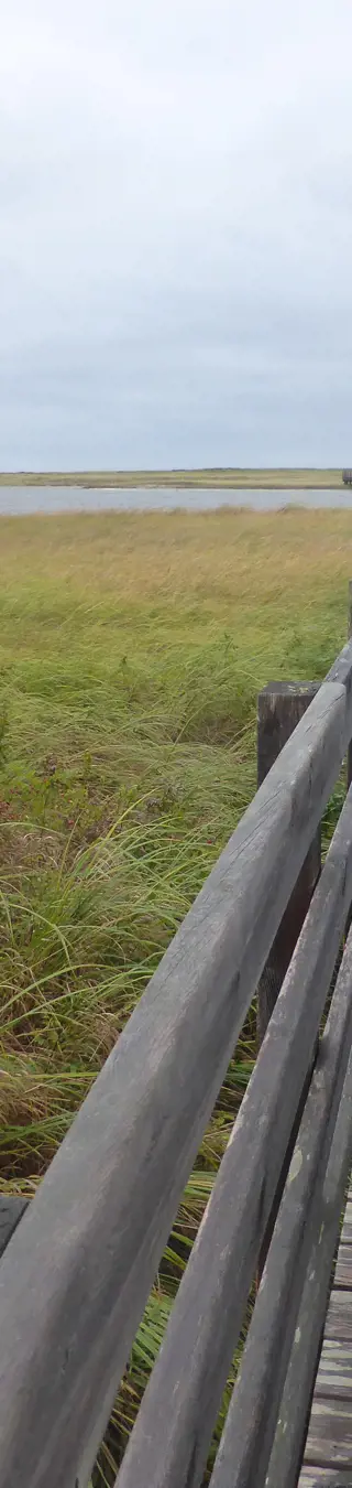 Beobachte das Treiben im Kouchibouguac Nationalpark